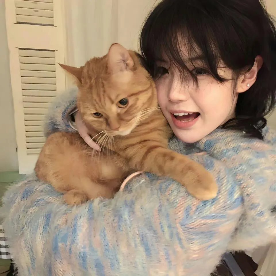 泰山与狩猎者